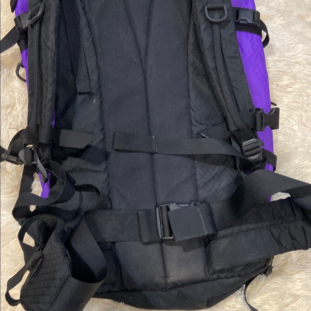 Alpine Black and Purple Adventure Backpack - Picture 6 of 9
